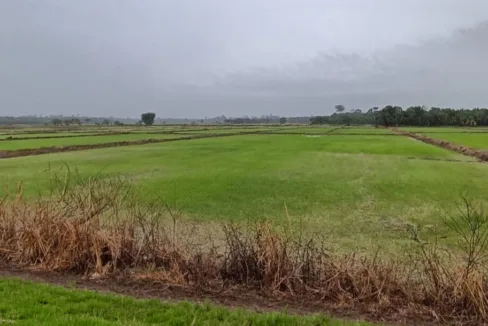 Tanah sawah untuk dijual di Air Deras, Teluk Intan, Perak