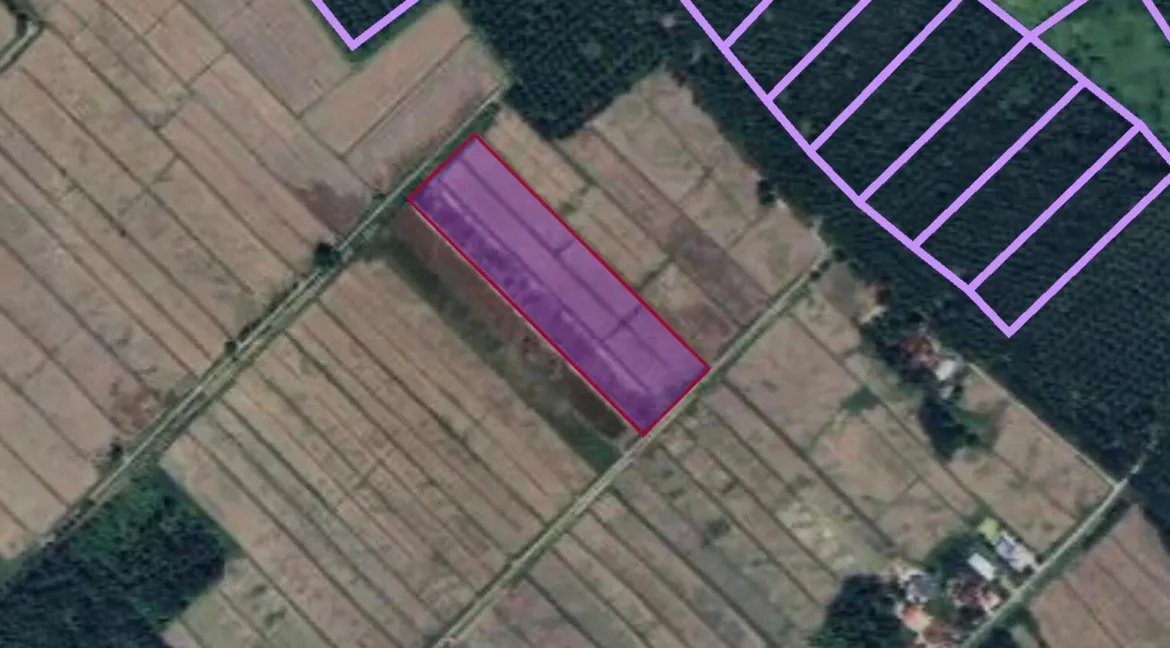 tanah-sawah-untuk-dijual-di-air-deras-teluk-intan-04