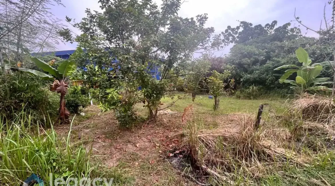 tanah-lot-banglo-untuk-dijual-di-kampung-kepayang-simpang-pulai-02