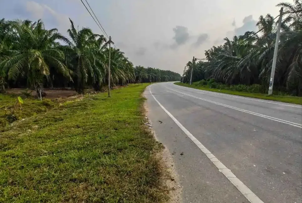 tanah-lot-pertanian-gelung-pepuyu-titi-gantong-perak-01