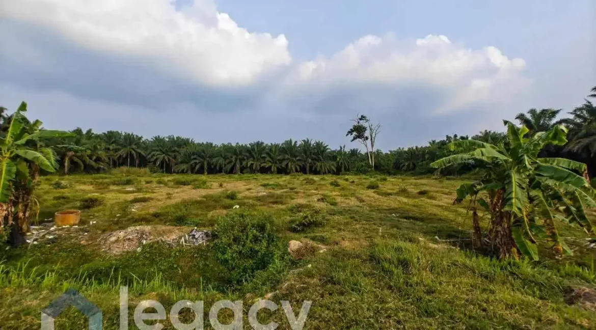 tanah-lot-pertanian-gelung-pepuyu-titi-gantong-perak-05