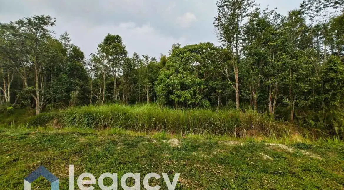 Tanah pertanian untuk dijual di Gelung Pepuyu, Bota, Perak