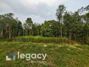 Tanah pertanian untuk dijual di Gelung Pepuyu, Bota, Perak