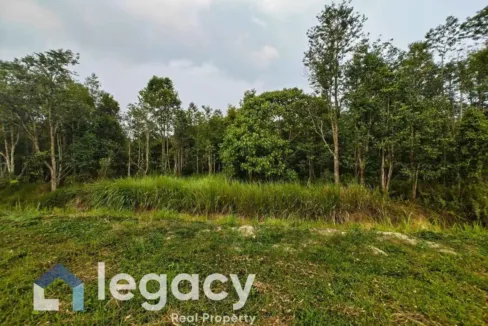 Tanah pertanian untuk dijual di Gelung Pepuyu, Bota, Perak