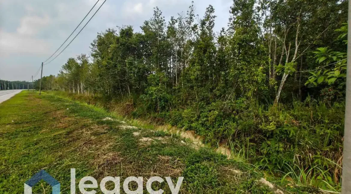 tanah-pertanian-untuk-dijual-di-gelung-pepuyu-bota-perak-02