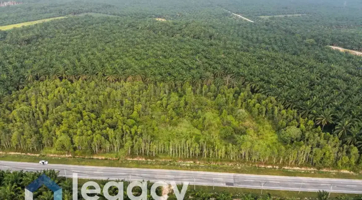 tanah-pertanian-untuk-dijual-di-gelung-pepuyu-bota-perak-04