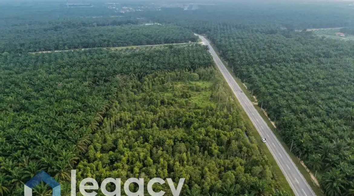 tanah-pertanian-untuk-dijual-di-gelung-pepuyu-bota-perak-05