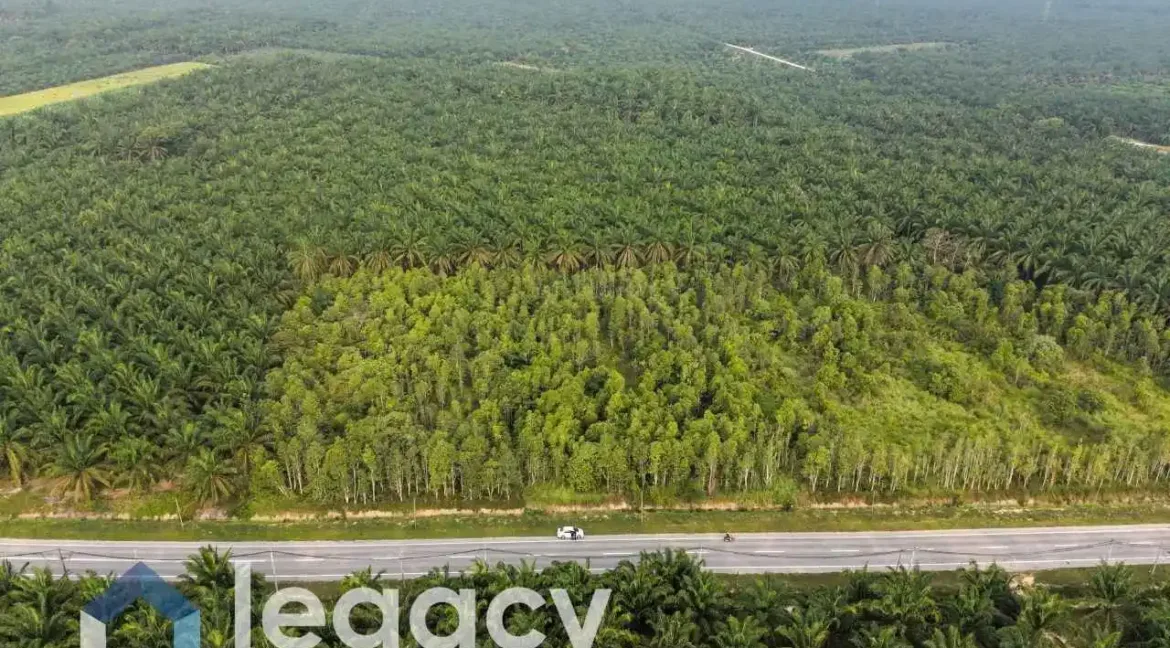tanah-pertanian-untuk-dijual-di-gelung-pepuyu-bota-perak-06