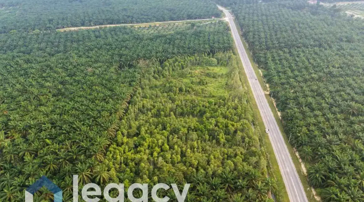 tanah-pertanian-untuk-dijual-di-gelung-pepuyu-bota-perak-07