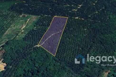 Tanah pertanian untuk dijual di Kampung Temin, Sungai Siput, Perak