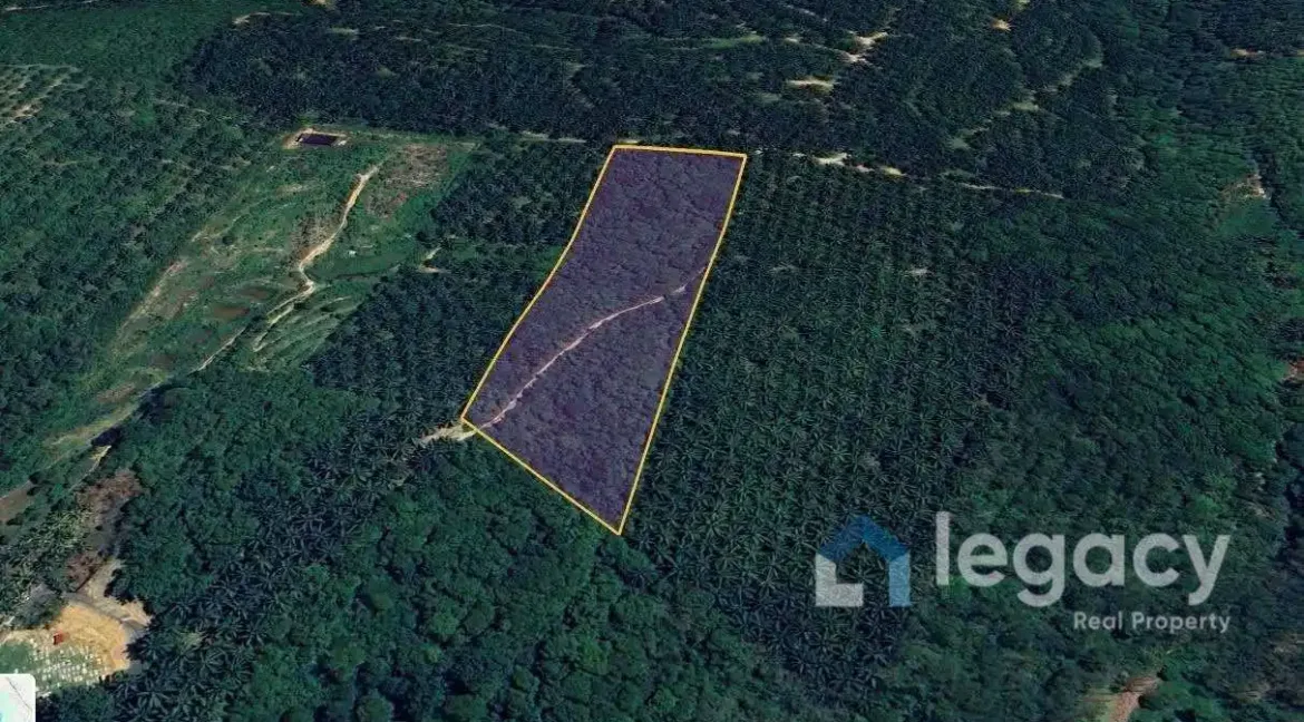 tanah-pertanian-untuk-dijual-di-kampung-temin-sungai-siput-05