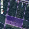 Tanah pertanian untuk dijual di Sungai Nipah, Bagan Datuk, Perak