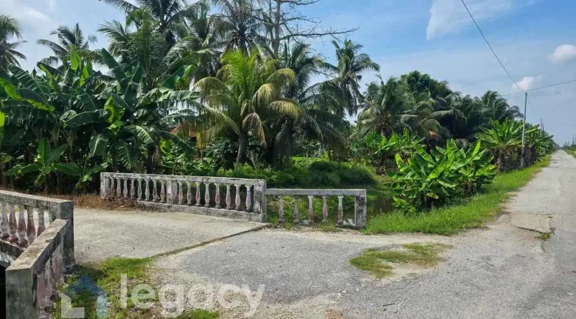 tanah-pertanian-untuk-dijual-kg-sungai-pergam-bagan-datuk-03