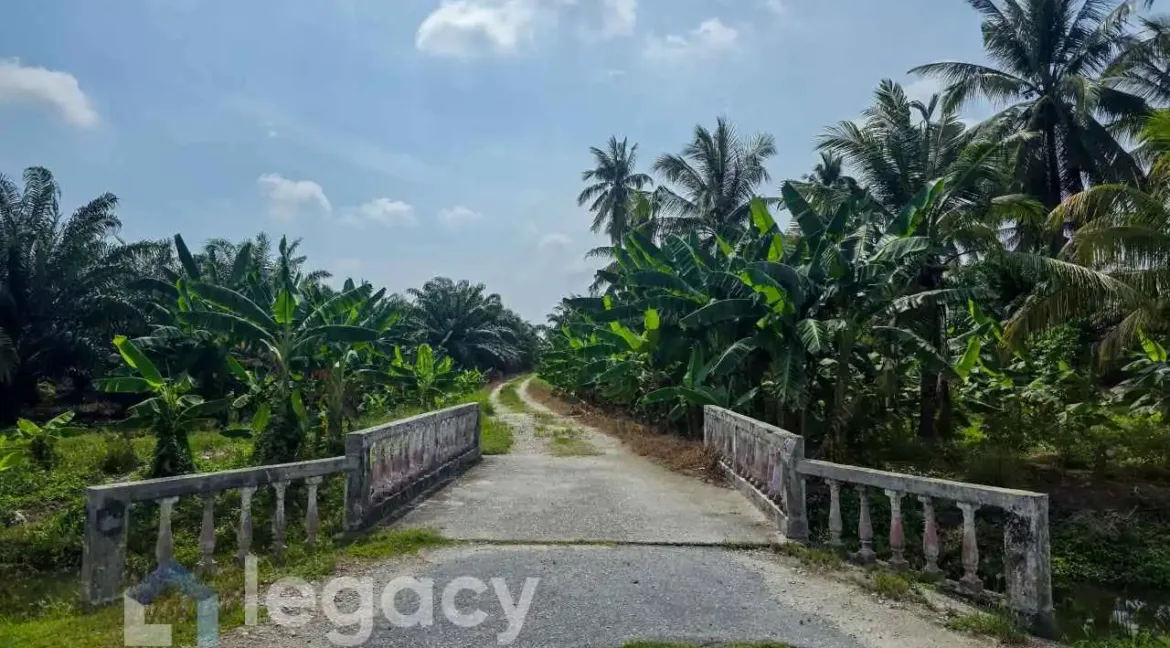 tanah-pertanian-untuk-dijual-kg-sungai-pergam-bagan-datuk-04