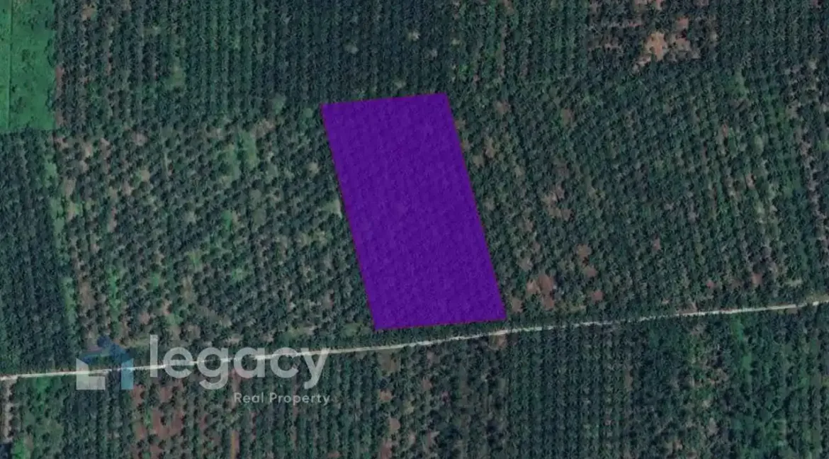 tanah-pertanian-untuk-dijual-kg-sungai-pergam-bagan-datuk-13