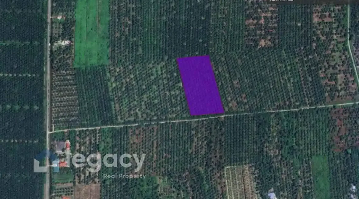 tanah-pertanian-untuk-dijual-kg-sungai-pergam-bagan-datuk-14