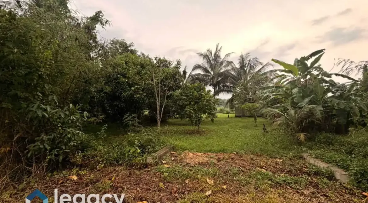 tanah-lot-kediaman-kos-rendah-untuk-dijual-di-rpt-batu-10-chemor-perak-06
