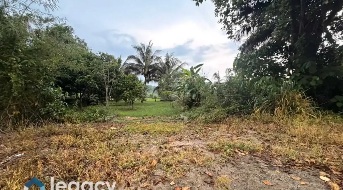 tanah-lot-kediaman-kos-rendah-untuk-dijual-di-rpt-batu-10-chemor-perak-07