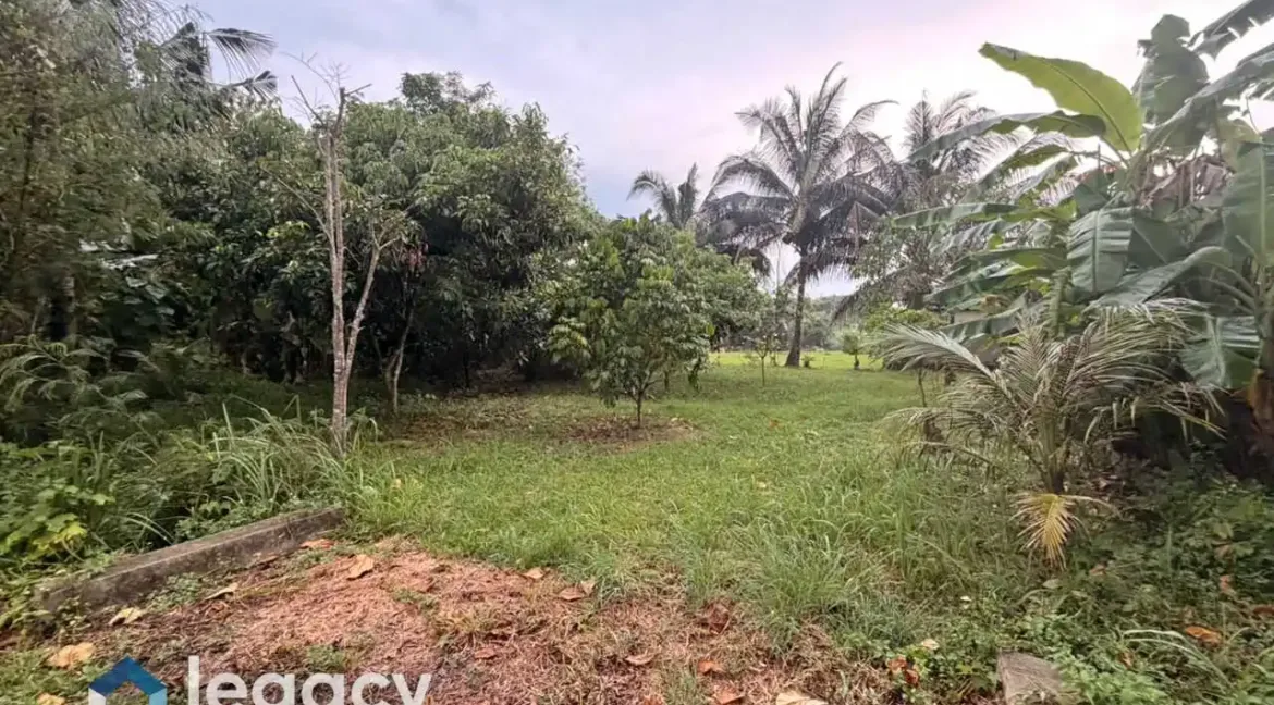 tanah-lot-kediaman-kos-rendah-untuk-dijual-di-rpt-batu-10-chemor-perak-09
