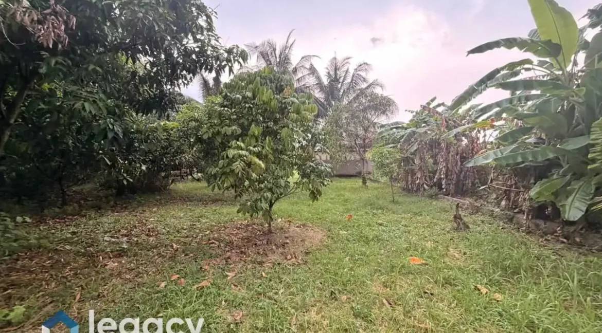 tanah-lot-kediaman-kos-rendah-untuk-dijual-di-rpt-batu-10-chemor-perak-11