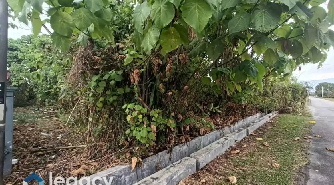 tanah-lot-untuk-dijual-di-rpt-tekah-tambahan-taiping-perak-17