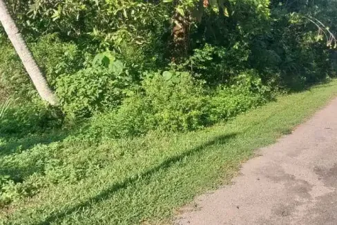 Tanah lot untuk dijual di Kampung Cik Zainal 1, Chemor, Perak