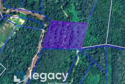 Tanah pertanian untuk dijual di Gua Badak, Lenggong, Perak