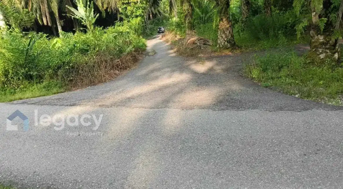Tanah pertanian untuk dijual di Jalong, Sungai Siput, Perak
