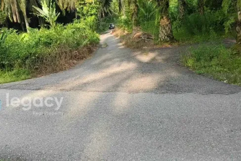 Tanah pertanian untuk dijual di Jalong, Sungai Siput, Perak