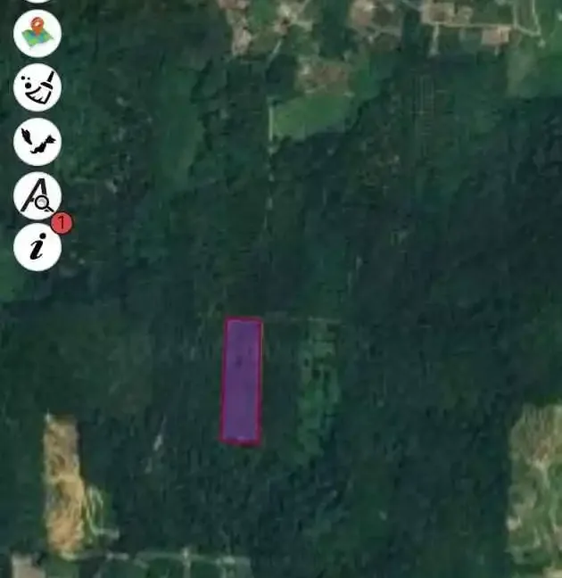 tanah-pertanian-untuk-dijual-di-jalong-sungai-siput-08
