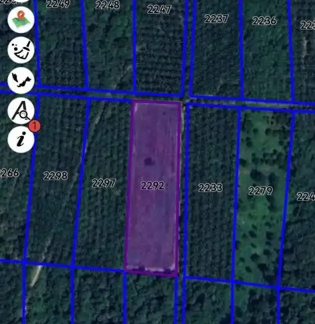 tanah-pertanian-untuk-dijual-di-jalong-sungai-siput-10