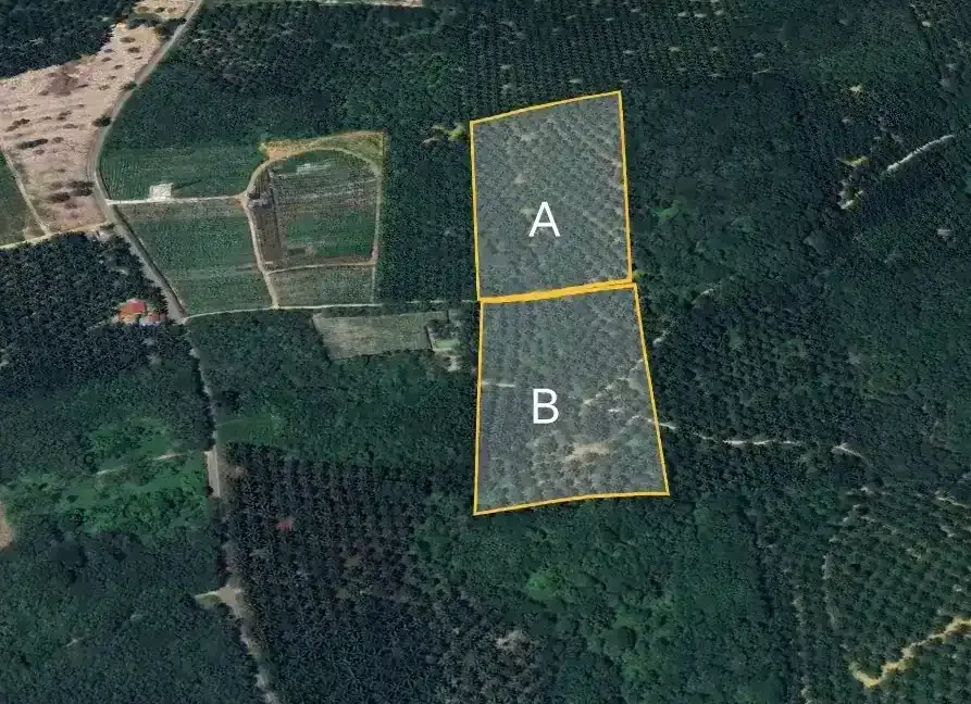 Tanah sawit untuk dijual di Beruas, Manjung, Perak